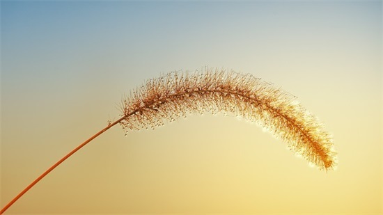 绝地求生游戏网名大全