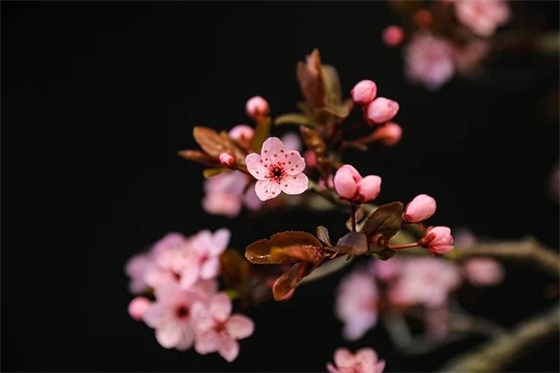 冉字结尾的女宝宝名字大全（冉字在名字中的寓意）