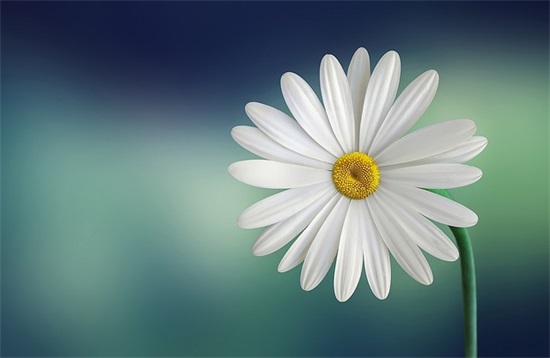 17357