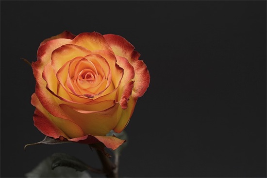 17315