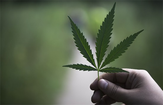 性感个性网名400个