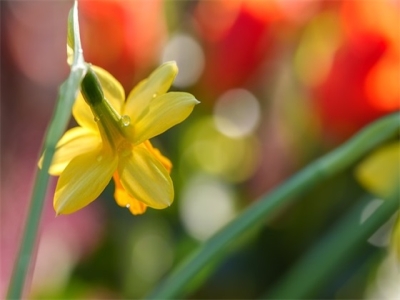 2024年七月出生男宝宝取什么名？（男孩的名字宜用字）