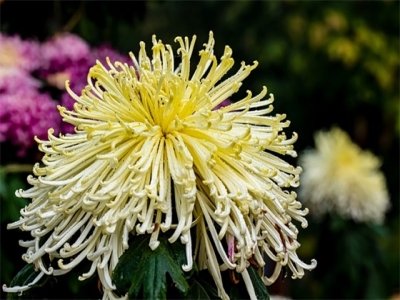 淘宝网店取名字大全（淘宝店铺名字设计）