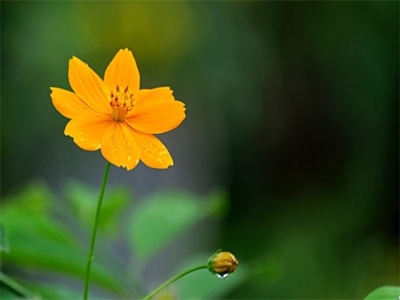 2024年农历二月女宝宝名字大全 取名优雅知性