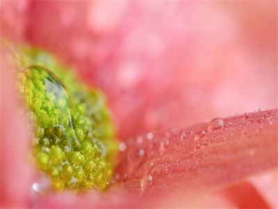 农历初五出生的人整体大运（农历初五晚上戌时出生宝宝起名）