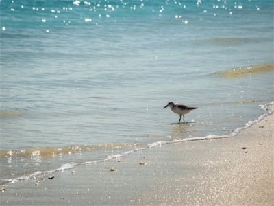 杨树林口红店铺的英文名（好听的英文名字口红）
