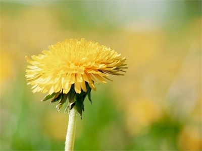 为宝宝提早选个好名（九月宝宝男孩名字）