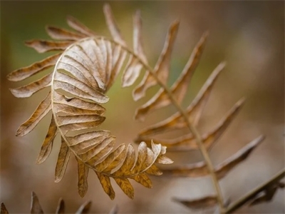 感叹时光匆匆的惊艳句子大全