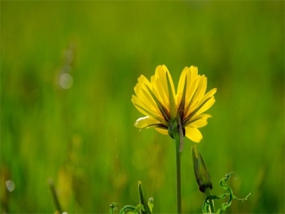 2024年腊月二十二日的五行属性（男宝宝名字推荐）