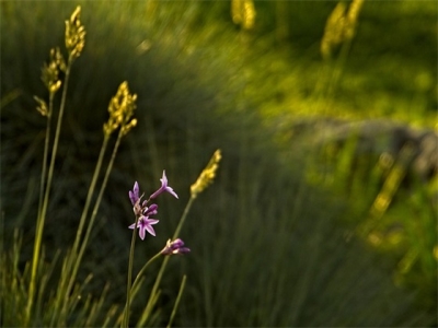 珍惜陪孩子简短句子(精选75句)