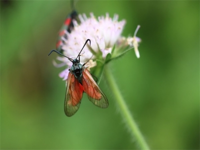 适合姐妹生日发的朋友圈 一辈子闺蜜的经典句子