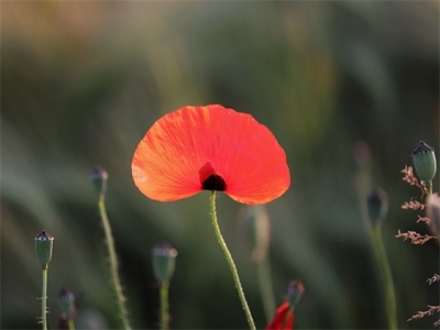 商贸公司名字大全最新 热门好听公司名字