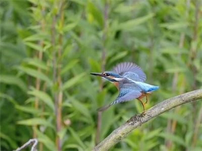 关于迎接新工作励志的句子 准备迎接新生活的句子