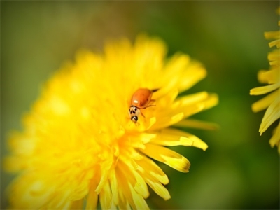 2024年小雪出生的宝宝运势（2024年小雪出生的宝宝名字解析）