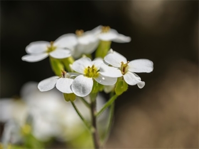 寓意财源广进的公司名字 热门好听新公司名称