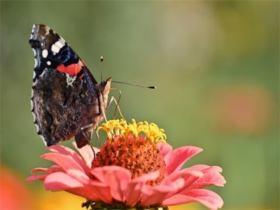 女装店名好听又旺财靓丽750个