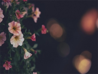 搞笑的游戏名字id大全100个