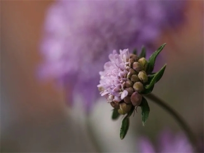 商贸公司起名字大全免费 高端大气贸易公司名字