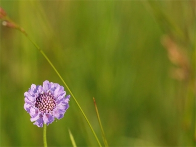 女孩名字大全2024年 虎年女宝宝魅力活泼起名