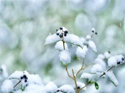 求个带沧海的网名