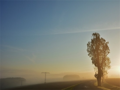 微信名字女(精选800个)