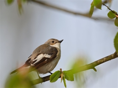 四个字的女生网名（精选400个）