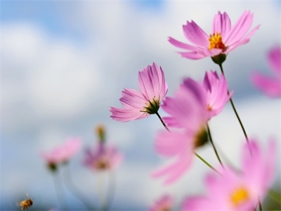 男微信名字560个