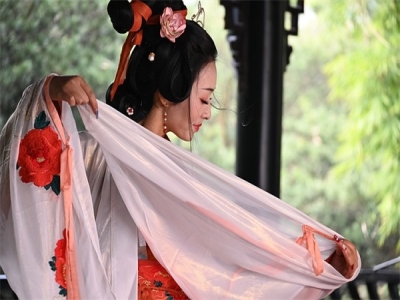 写柳絮唯美的诗句通用(78条)