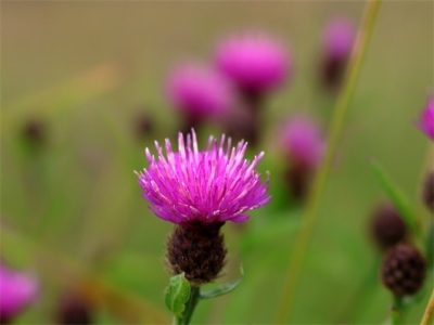 2024年新颖公司名字大全 旺财运的公司名称