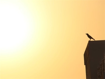 网络游戏报告范例6篇