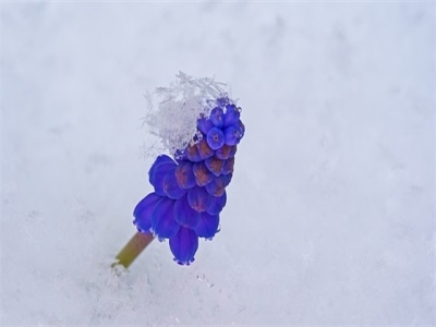 广告公司的名字怎么起好 好听贵气企业名字