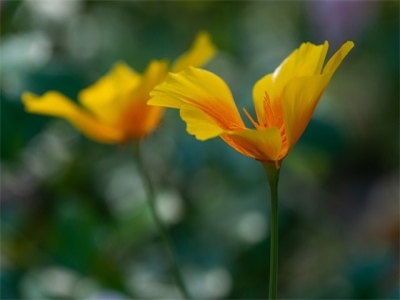 五金建材公司起名大全 寓意吉利建材企业名