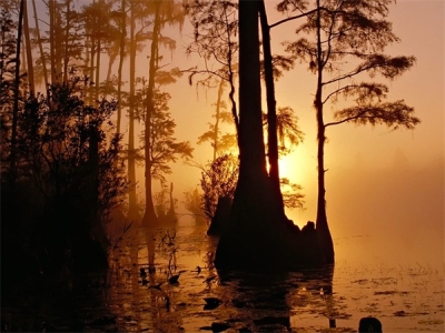 2024年男宝宝独立好听的名字大全（精选2024年男宝宝独立好听的名字）