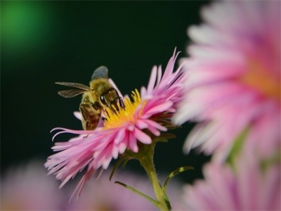 喝酒诗句子大全幽默句子47句
