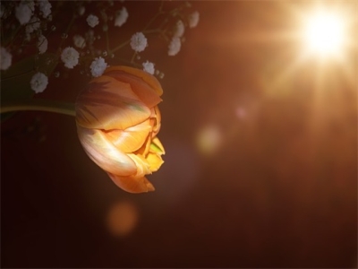 美业公司名称大全集最新 简单大气公司名字