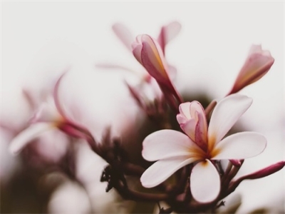 游戏名字大全100个