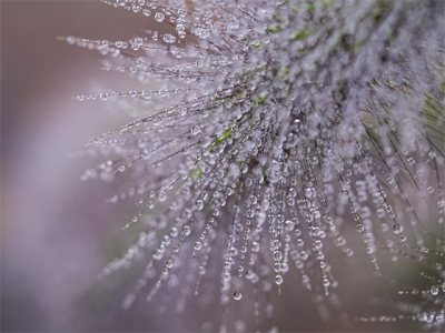 关于尧舜的诗句(79句)