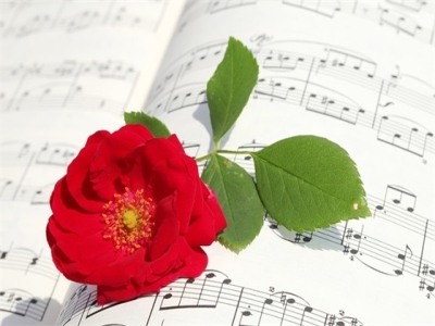 关于教师节感谢老师的祝福语暖心语录