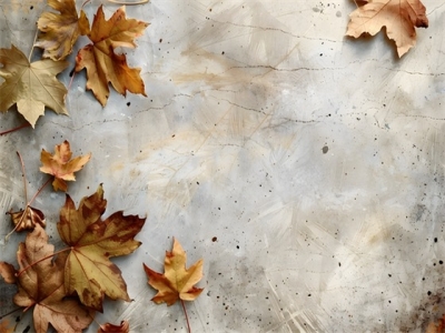 2024年12月11日出生女宝宝五行解析（2024年12月11日出生女宝宝名字怎么起最