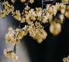 赞扬老师辛勤付出的句子(分享56句)