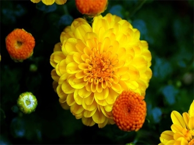 超可爱的网名400个