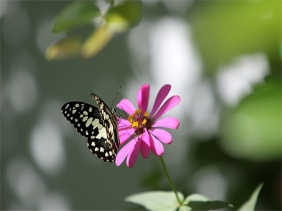 农历二十八出生的人整体大运（农历二十八日晚上戌时出生宝宝起名）