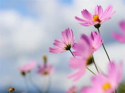 科技公司如何取名 洋气大方科技行业名称