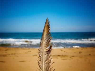 关于微信网名带丹字