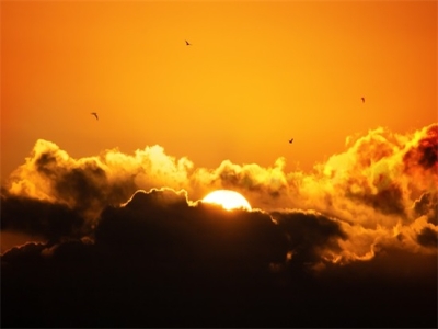 成熟网名男人味大全