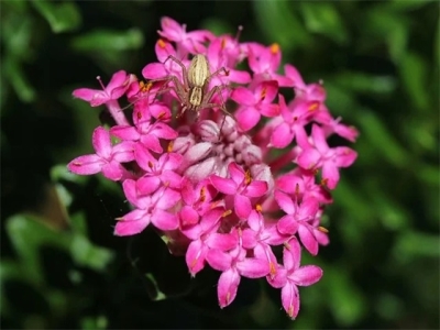 服装店名字英文加中文（服装店名字英文简介）