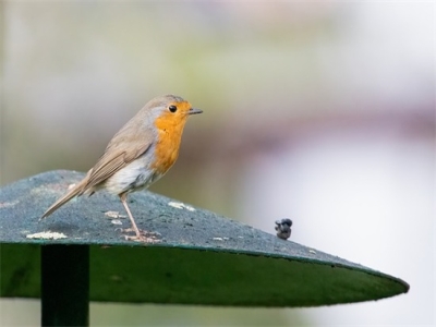 班级群名称(精选300个)