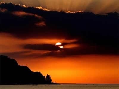 带情字的网名300个