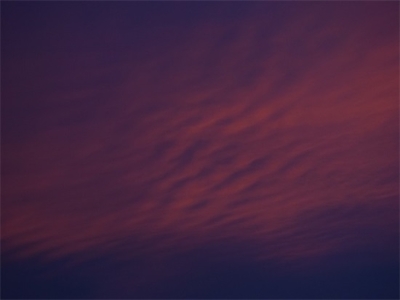 可爱的网名（精选910个）