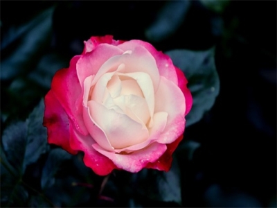 好听的男宝宝起名大全参考（男孩名字大全1800个）